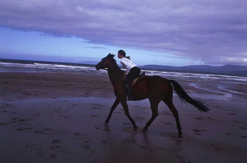 Photo of model on horse on the beach