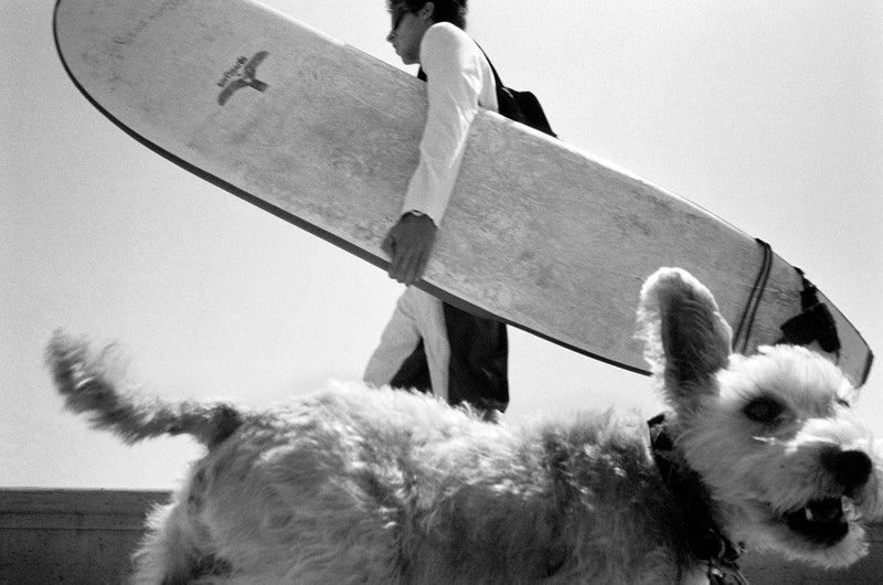 Surfer Dog.